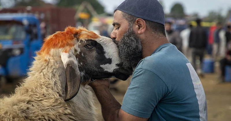Bazarında heyvanı satmazdan əvvəl