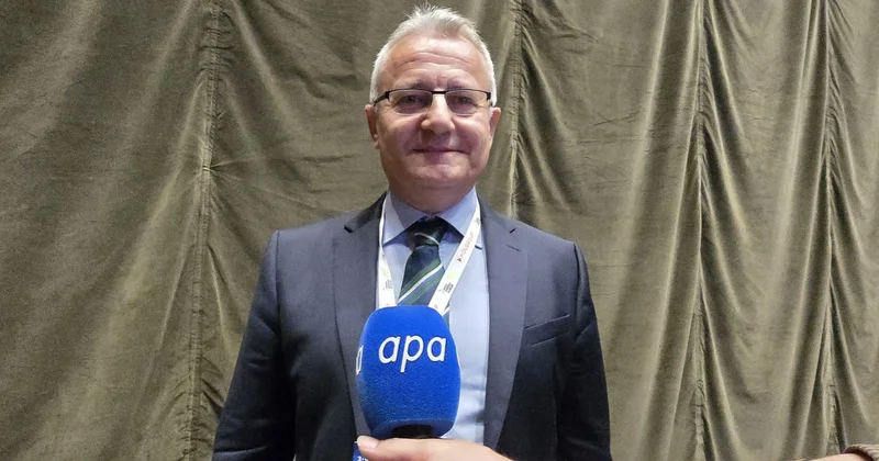 Nazir müavini: Serbiya Azərbaycan qazının qəbulunu artırmaq üçün yeni interkonnektor planlaşdırır