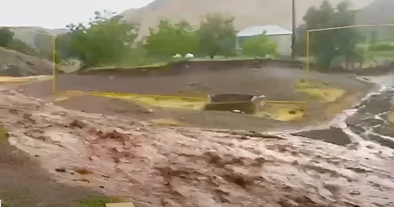 Naxçıvanda sel evlərə ziyan vurdu