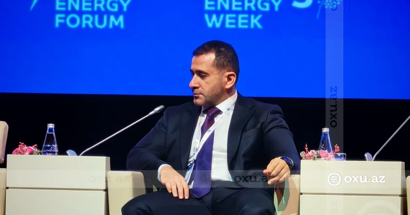 Elnur Əliyev: Kiçik və orta biznes subyektlərinin yaşıl texnologiyalara keçid imkanları zəifdir