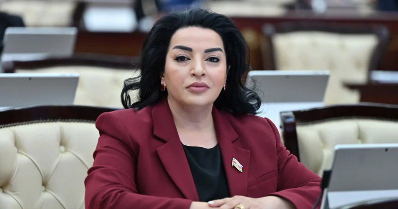 Deputat: Yeni qanun binaların istilik təchizatı problemlərinin həllinə kömək edəcək