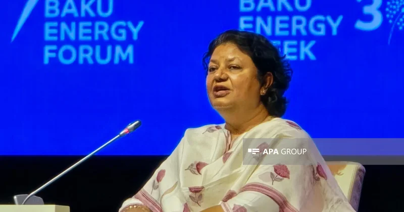 IRENA: İnkişaf etməkdə olan ölkələrin bərpa olunan enerji sahəsində maliyyə problemi var