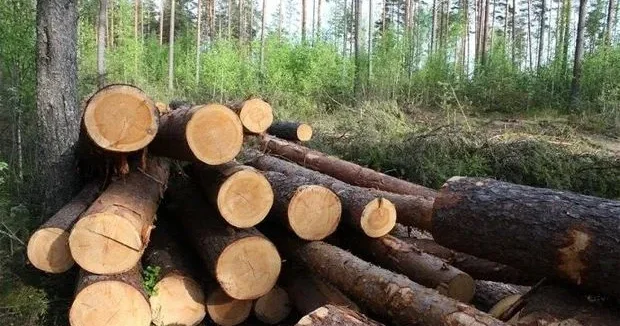 Təbiətə 45 min manat ziyan vuruldu Cinayət işi açıldı
