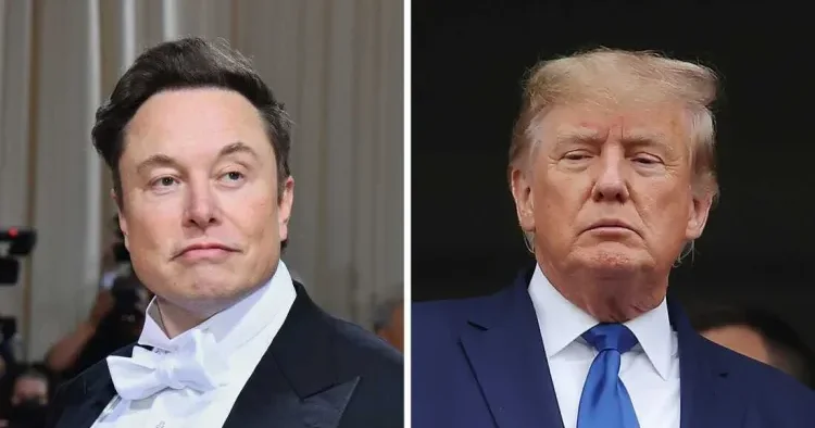 İlon Mask Donald Trampın layihəsini tənqid etdi