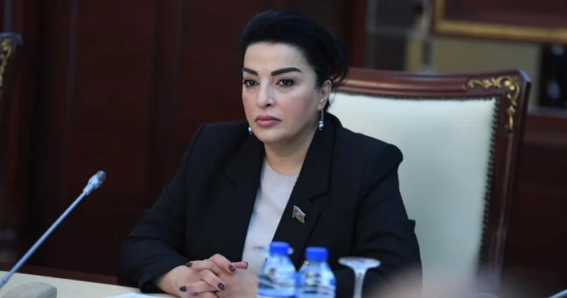 Azərbaycanın enerji siyasəti dünya miqyasında yüksək qiymətləndirilir