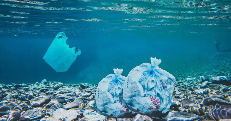 Yapon alimləri qısa müddətdə dəniz suyunda həll olunan plastik hazırlayıblar