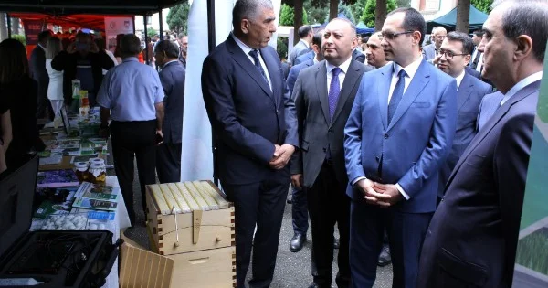 ADAU da keçirilən 17 ci Karyera Sərgisinə 1000 dən çox vakant iş yeri çıxarılıb FOTOLAR