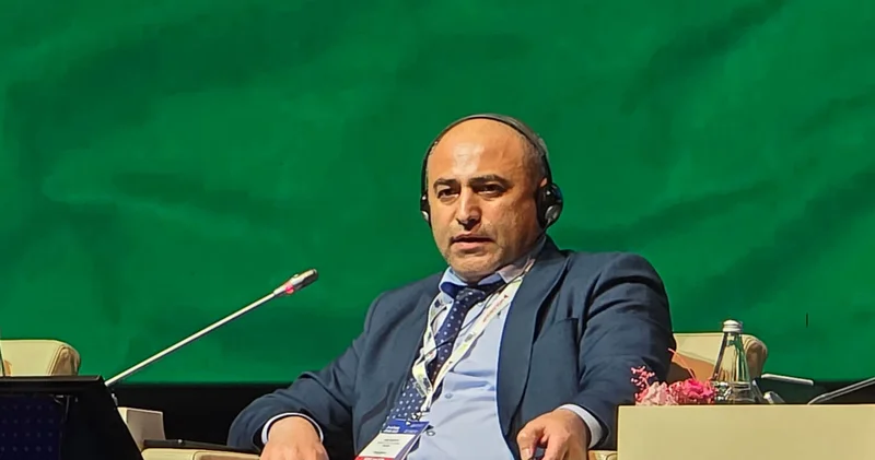 Bərpa olunan enerji mənbələrinin inteqrasiyasında mənfi təsirlər açıqlanıb