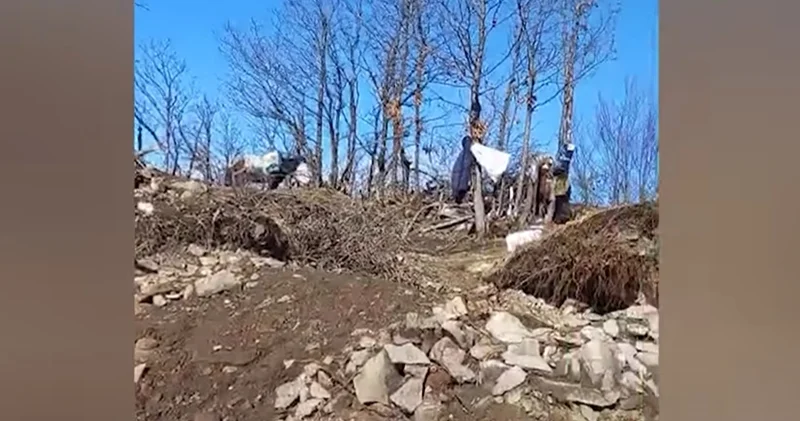 Allah bunlara insaf versin Lahıcda nə baş verir?