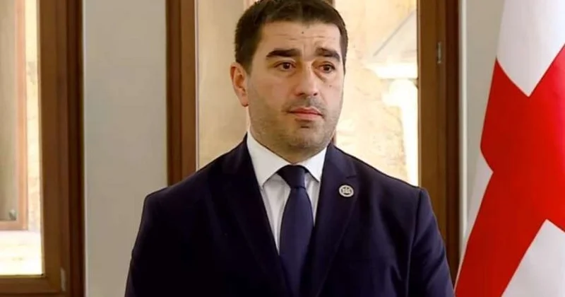 Спикер парламента заявил о прямом вмешательстве посла ЕС в выборы в Грузии