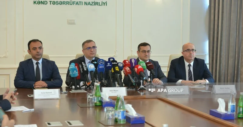 Nazir müavini: Yeni dövlət proqramı aqrar dəyər zəncirinin bütün mərhələlərini əhatə edir