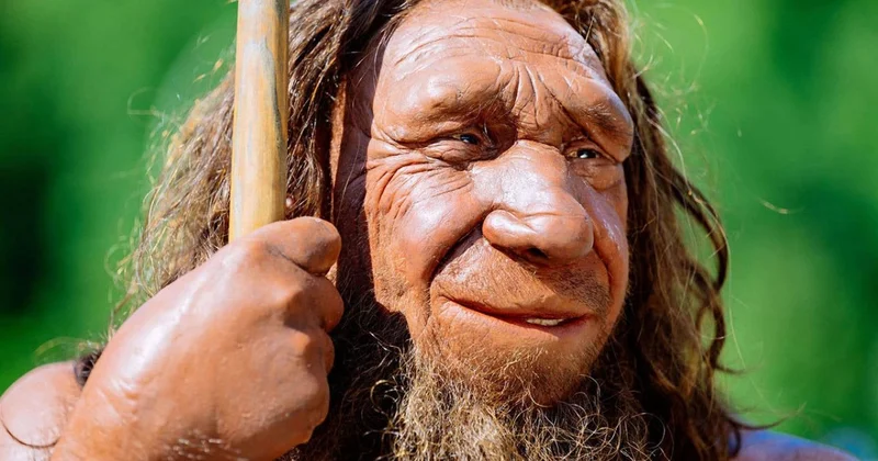 Ölkəmizdə neandertal qalığı tapılıb