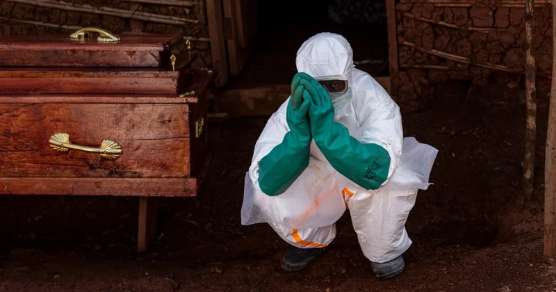 Ebola virusu Azərbaycana gələ bilər? Professor açıqladı