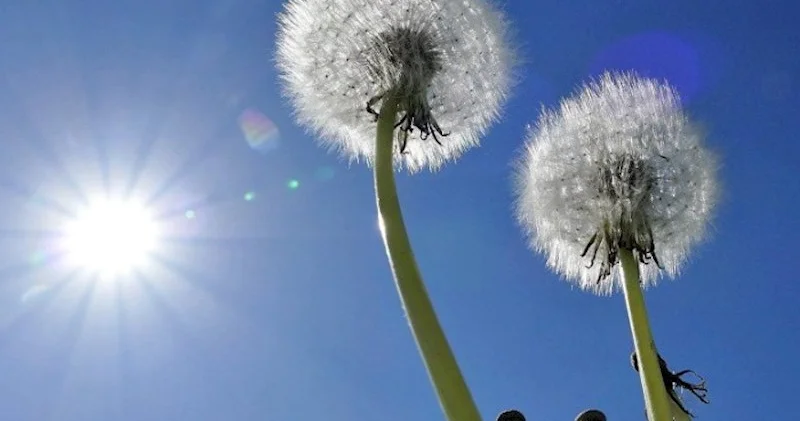 Yay istisi gəlir: Sabah temperatur 32 dərəcəyə...
