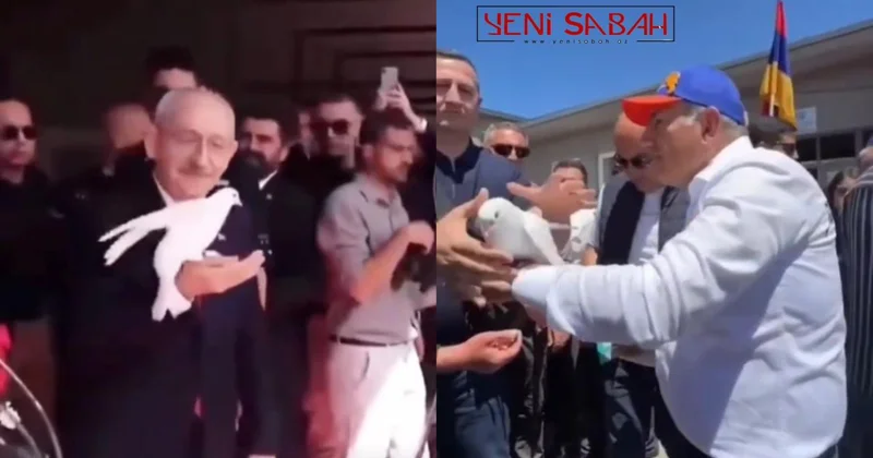 Daha göyərçinlər də siyasətçilərə inanmır VİDEO