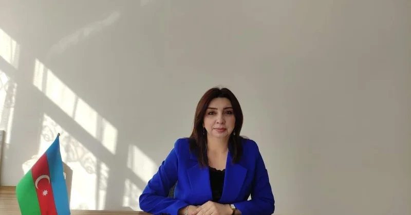 Azərbaycanın mükəmməl enerji strategiyası və iqtisadi inkişafı ŞƏRH