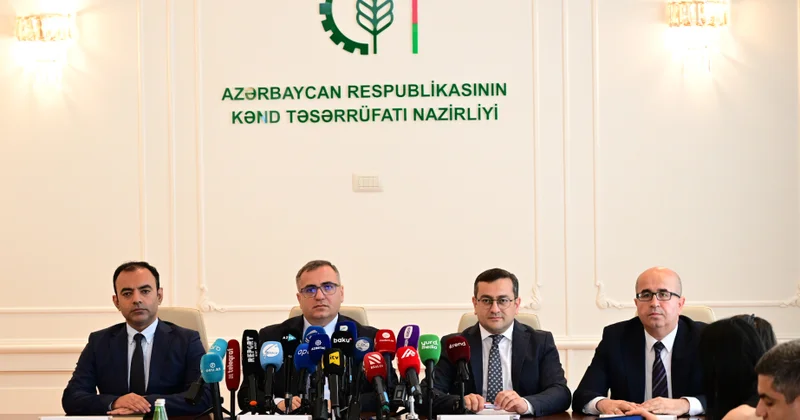 Azərbaycanda yüksək məhsuldarlığa malik cins heyvanların ümumi heyvandarlıq fondunda payı 4 dəfə artırılacaq