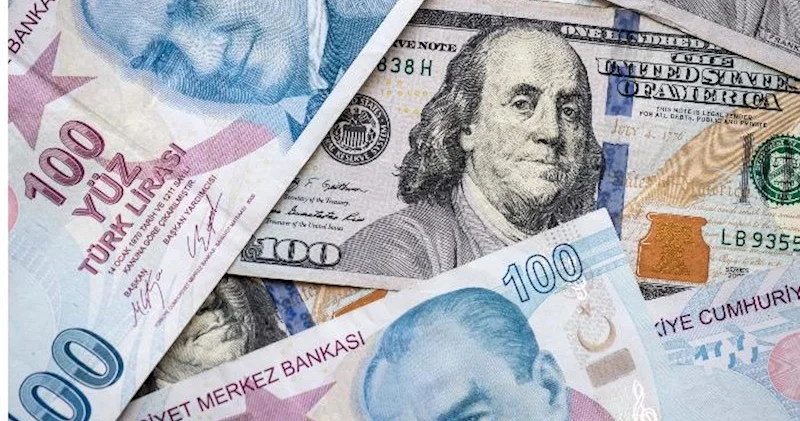 Türk lirəsinə bağlı stabilkoinlərə maraq artır Dollardan sonra ikincidir