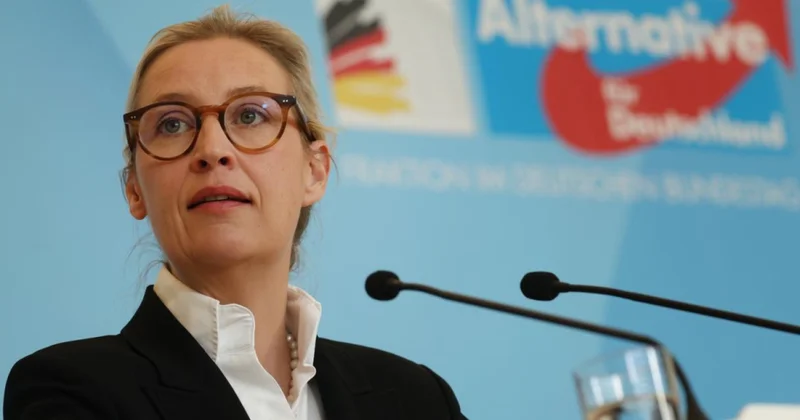 Alis Vaydel: Ukraynanın Aİ yə üzvlüyü Almaniyanın maraqlarına uyğun deyil