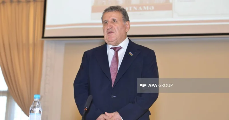 İsa Həbibbəyli: Laçında və Kəlbəcərdə arxeoloji tədqiqatlar aparmağı təşkil etməliyik