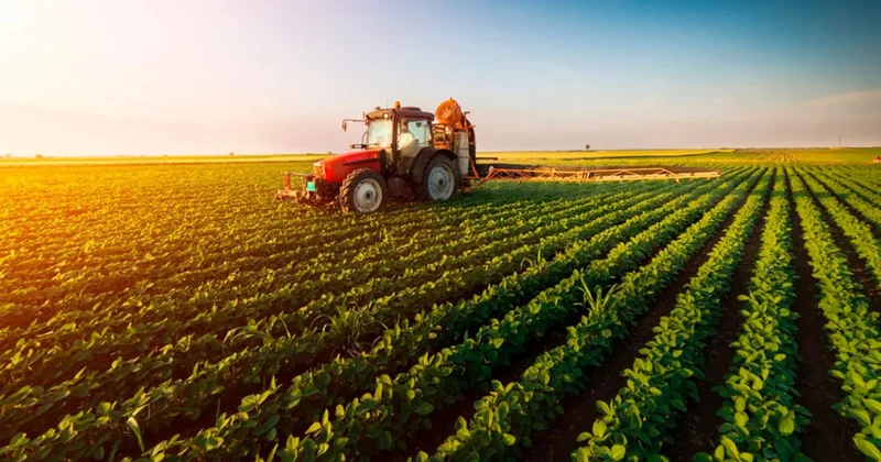 Экспорт аграрной продукции Азербайджана за десятилетие увеличился на 62,8%