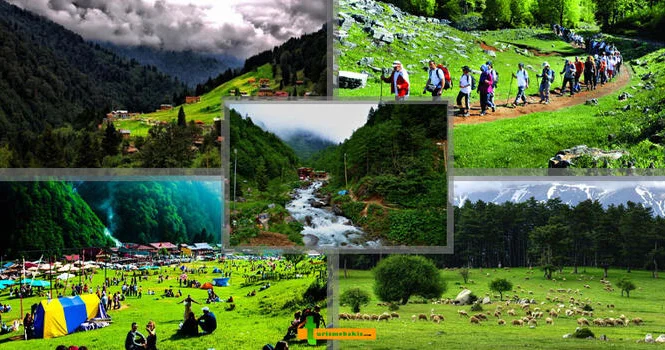 Turizm: regionların inkişafına aparan yol