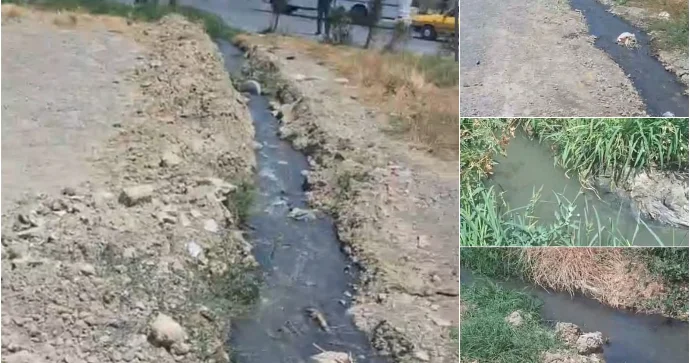 Qurtuluş 93 ün kanalizasiya problemi: Sakinlər əziyyət çəkir, qurum hələ də həll etmir VİDEO