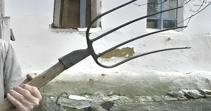Bakıda qadın aliment ödəməyən keçmiş ərini yaba ilə döydü
