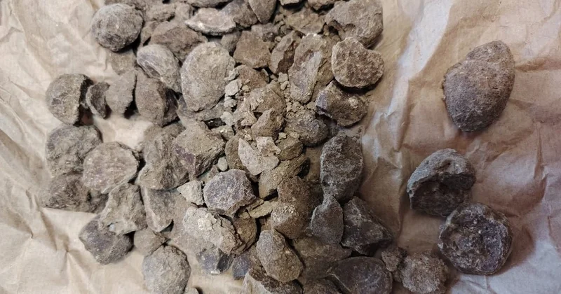 Cəlilabadda arxeoloji qazıntılar aparılır Silah anbarı, sapand daşları aşkarlanıb