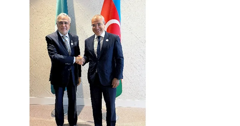 Mikayıl Cabbarov Pakistan rəsmiləri ilə görüşdü