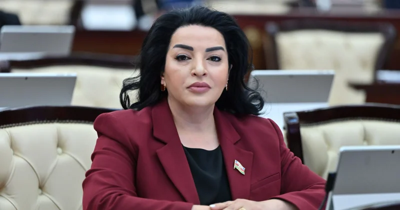 Azərbaycan və Özbəkistan liderlərinin qarşılıqlı səfərləri dövlətlərarası münasibətlərin gücləndirilməsi baxımından böyük əhəmiyyət kəsb edir ŞƏRH
