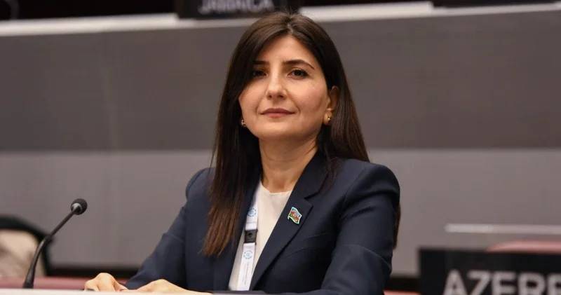Sevil Mikayılova: Saxta məlumatların yayımına qarşı mübarizə günün tələbidir