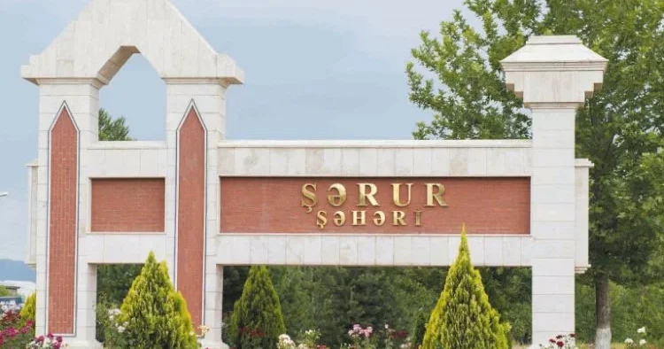 Şərurda ŞOK! Deputat sakini döydü