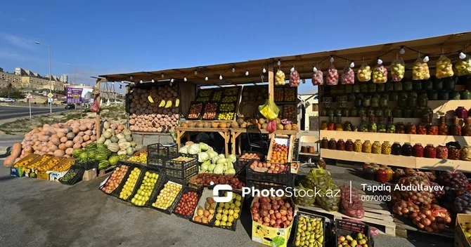 Qiymət baha, torpaq yorğun... Kənd təsərrüfatımızı necə dirçəltmək olar?