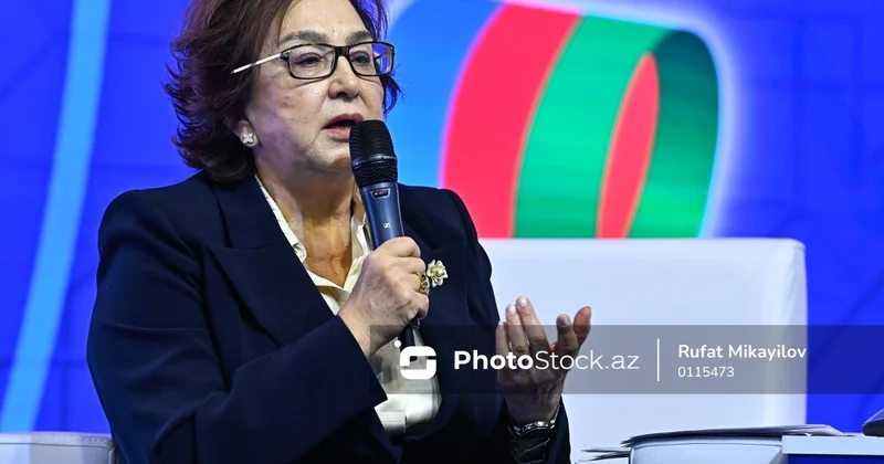 Məleykə Abbaszadə: Elektron imtahanlarla bağlı problemlər bütün dünyada mövcuddur
