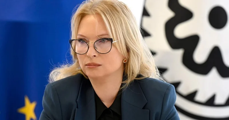 Грузия на два года возглавила банковскую группу ОЧЭС