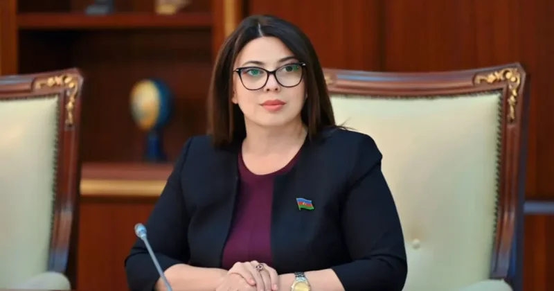 Xanım deputata ağır itki üz verdi