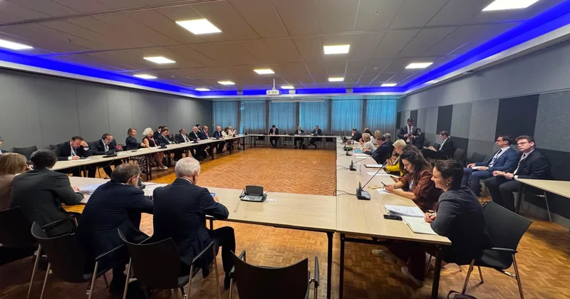 İpək Yolu Qrupu Haaqada toplandı FOTOLAR