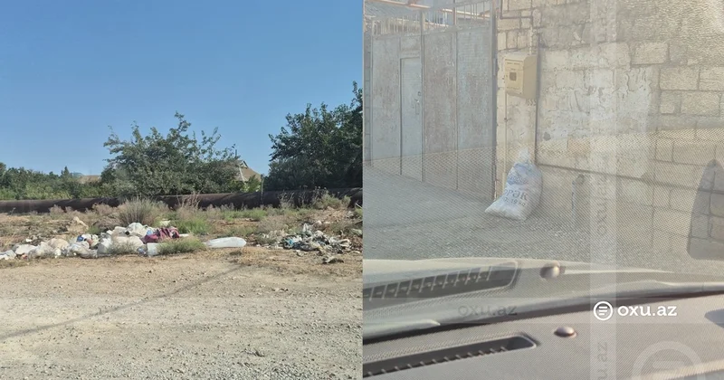Sarayda zibil problemi: Qəsdən konteyner qoymurlar ki, pul yığsınlar