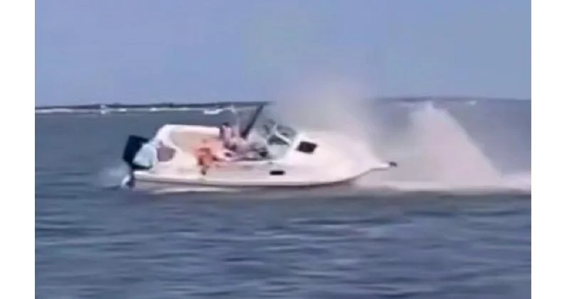 Лодка налетела на кита в США ВИДЕО