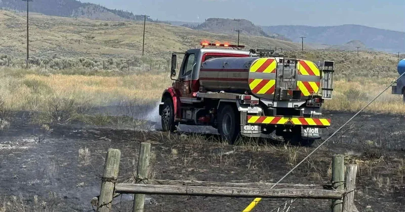 Göydən düşən balıq kəndin elektrik enerjisini kəsib və yanğına səbəb olub FOTOLAR