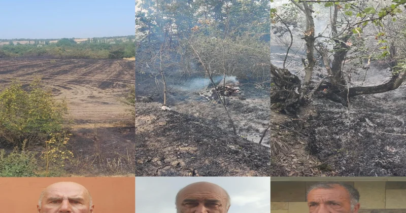 Qubada yanğın törədənlərdən biri həbs olunub, ikisi cərimələnib