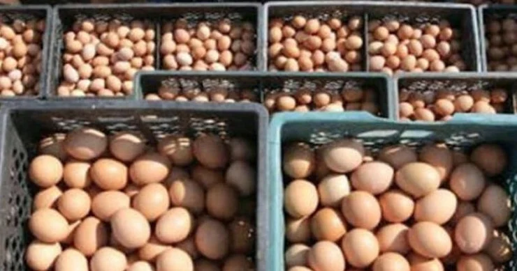 Azərbaycanda yumurta ucuzlaşacaq? Assosiasiya sədrindən açıqlama