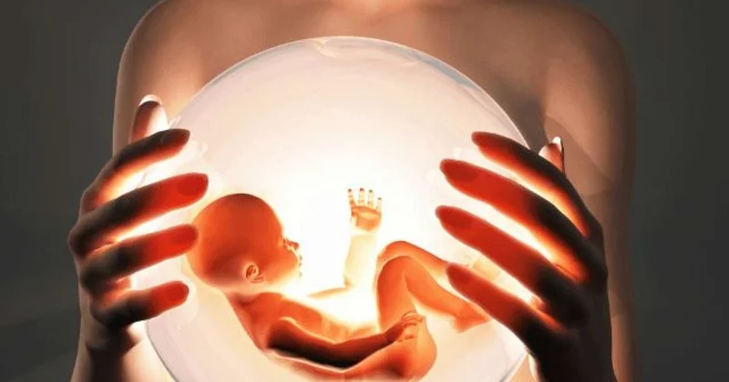 Bədən kirayəçilərinin izi ilə: Qadınlarımızın pulla ana olmaq macərası
