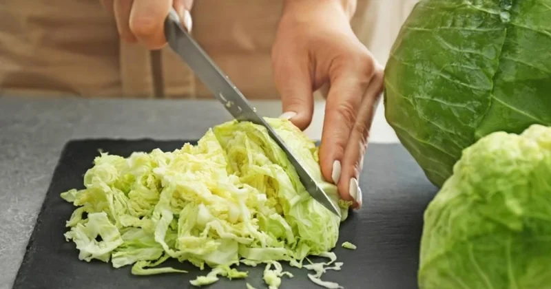 Kələmi müntəzəm yemək orqanizmə necə təsir edir? Alimlər açıqladı