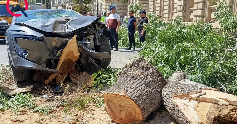 Bakının mərkəzində sükanı bloklanan maşın ağaca çırpıldı Fotolar