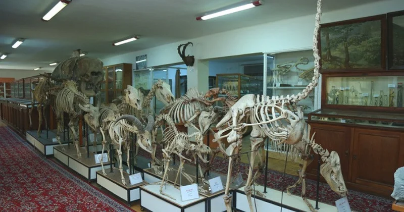 Bakıda 22,5 milyon manata muzey yaradılacaq