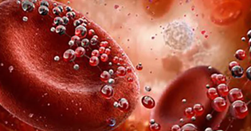 Alimlər beyinin qocalmasını dayandıracaq protein aşkarlayıblar