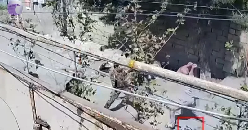 В Абшеронском районе массовый конфликт из за двери закончился госпитализацией Minval Politika