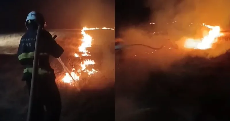 Пожар в селе Алханлы: огонь уничтожил 60 гектаров зернового поля Видео
